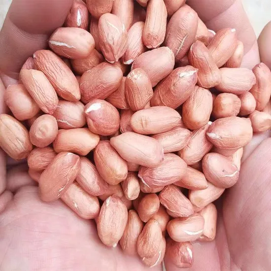 Fried Peanut Kernels/Salted&Spicy/All Type/Fresh&Crispy/Superior Products