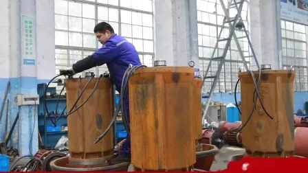 Wq Submersible Pumps with Portable Type