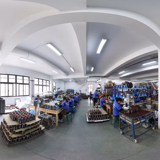 Werto Qb60 Iron Cast Brass Impeller Electric Peripheral Vortex Micro Auto Surface Graden Pump for Agriculture Irrigation Water Pump